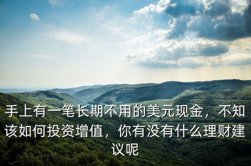 手上有一筆長期不用的美元現(xiàn)金，不知該如何投資增值，你有沒有什么理財建議呢