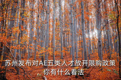 蘇州發(fā)布對(duì)AE五類人才放開限購(gòu)政策，你有什么看法