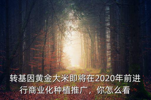 轉(zhuǎn)基因黃金大米即將在2020年前進行商業(yè)化種植推廣，你怎么看