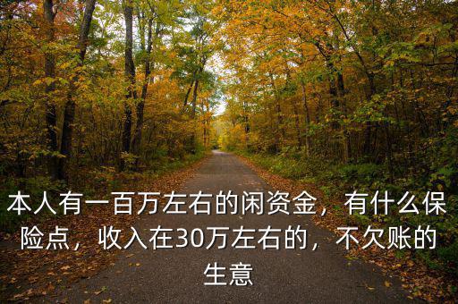 本人有一百萬左右的閑資金，有什么保險點，收入在30萬左右的，不欠賬的生意