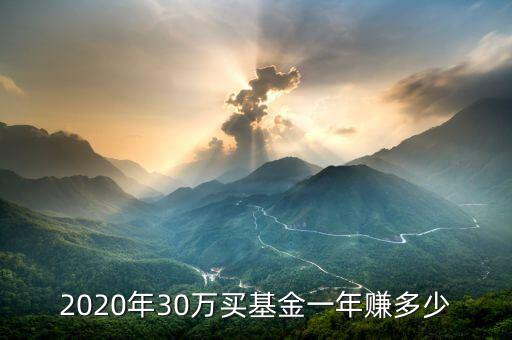 2020年30萬(wàn)買基金一年賺多少