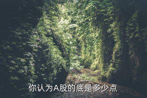 你認(rèn)為A股的底是多少點