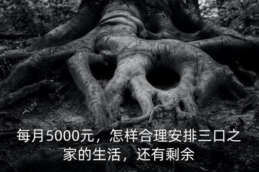 每月5000元，怎樣合理安排三口之家的生活，還有剩余