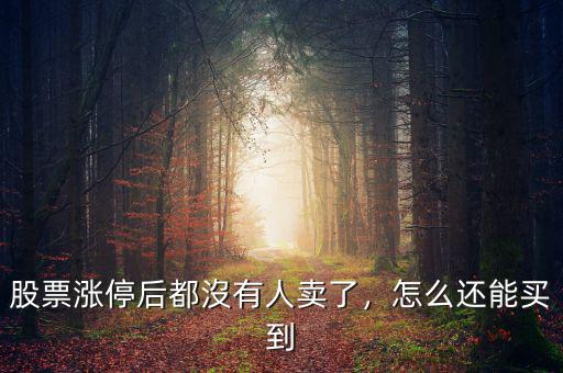 股票漲停后都沒(méi)有人賣(mài)了，怎么還能買(mǎi)到