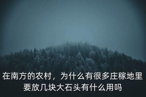 在南方的農(nóng)村，為什么有很多莊稼地里要放幾塊大石頭有什么用嗎