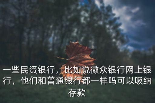 一些民資銀行，比如說微眾銀行網(wǎng)上銀行，他們和普通銀行都一樣嗎可以吸納存款