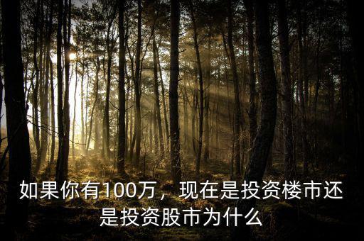 如果你有100萬，現(xiàn)在是投資樓市還是投資股市為什么