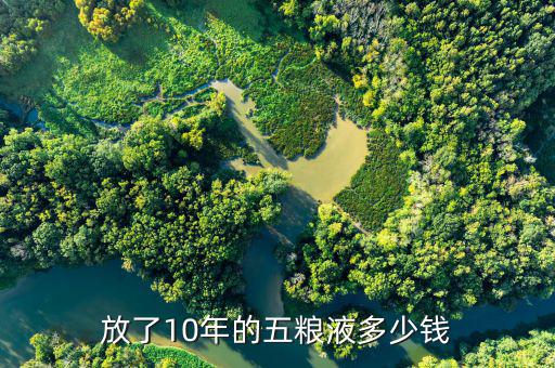 放了10年的五糧液多少錢(qián)