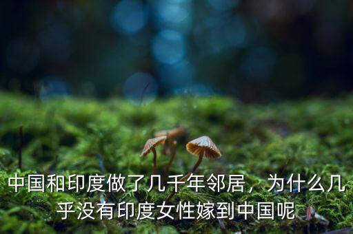 中國為什么沒有貧民窟,中國和印度做了幾千年鄰居