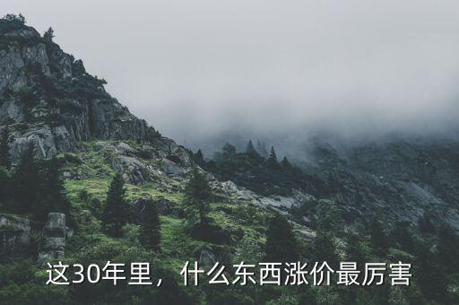 什么東西漲價快,什么東西漲價最厲害