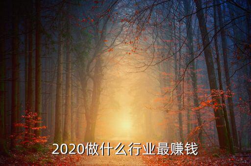 2020做什么行業(yè)最賺錢