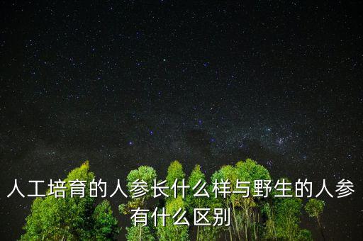 人工培育的人參應(yīng)該怎么吃,人工培育人參生芽能食用嗎