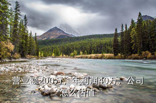 營(yíng)業(yè)額200萬，年利潤(rùn)40萬，公司怎么估值
