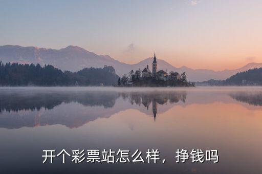 開個(gè)彩票站怎么樣，掙錢嗎