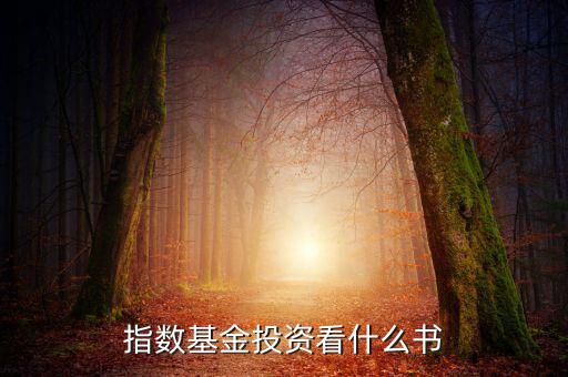 指數(shù)基金投資看什么書