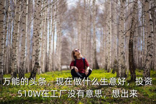 萬(wàn)能的頭條，現(xiàn)在做什么生意好，投資510W在工廠沒(méi)有意思，想出來(lái)