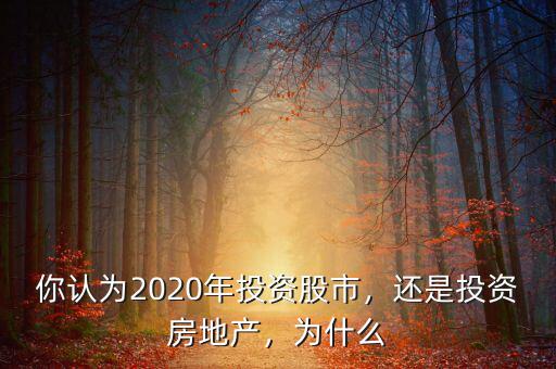 為什么要投資股市,你認為2020年投資股市