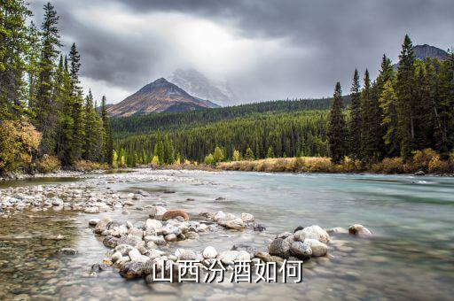 山西汾酒股票怎么樣,山西汾酒和茅臺