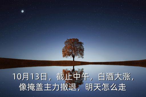 10月13日，截止中午，白酒大漲，像掩蓋主力撤退，明天怎么走