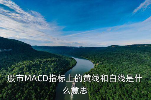 股市MACD指標(biāo)上的黃線和白線是什么意思