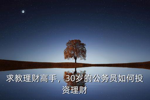 30歲怎么理財(cái),30歲的公務(wù)員如何投資理財(cái)