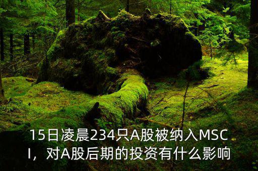 15日凌晨234只A股被納入MSCI，對(duì)A股后期的投資有什么影響