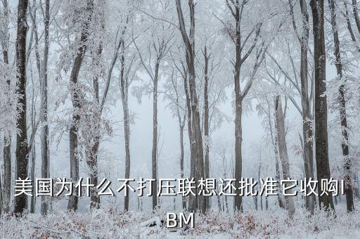 美國(guó)為什么不打壓聯(lián)想還批準(zhǔn)它收購(gòu)IBM