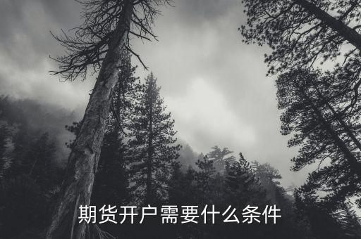 期貨開戶需要注意什么,期貨開戶需要什么條件