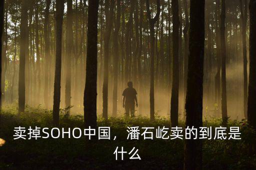 賣掉SOHO中國，潘石屹賣的到底是什么