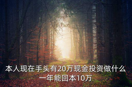 現(xiàn)在有20萬怎么投資,現(xiàn)在有20萬