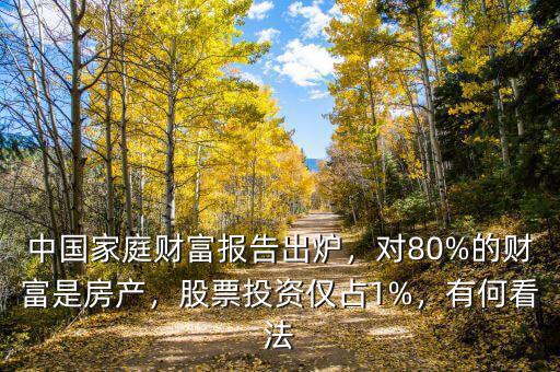 中國(guó)家庭財(cái)富報(bào)告出爐，對(duì)80%的財(cái)富是房產(chǎn)，股票投資僅占1%，有何看法