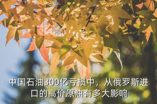 中國石油300億虧損中，從俄羅斯進(jìn)口的高價原油有多大影響