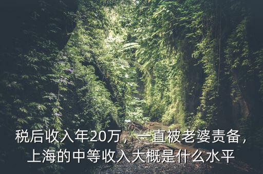 稅后收入年20萬(wàn)，一直被老婆責(zé)備，上海的中等收入大概是什么水平