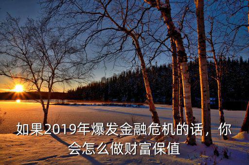 如果2019年爆發(fā)金融危機(jī)的話，你會怎么做財富保值