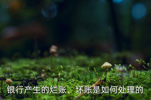 銀行產(chǎn)生的爛賬、壞賬是如何處理的