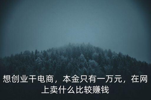 想創(chuàng)業(yè)干電商，本金只有一萬元，在網(wǎng)上賣什么比較賺錢