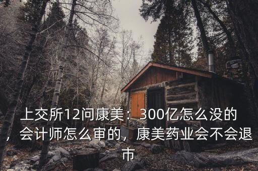 上交所12問康美：300億怎么沒的，會計師怎么審的，康美藥業(yè)會不會退市