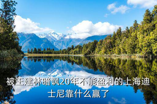 被王建林暗諷20年不能盈利的上海迪士尼靠什么贏了