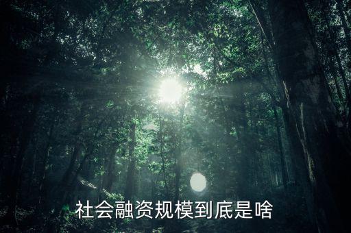 社會融資規(guī)模大小國家怎么查的,社會融資規(guī)模到底是啥