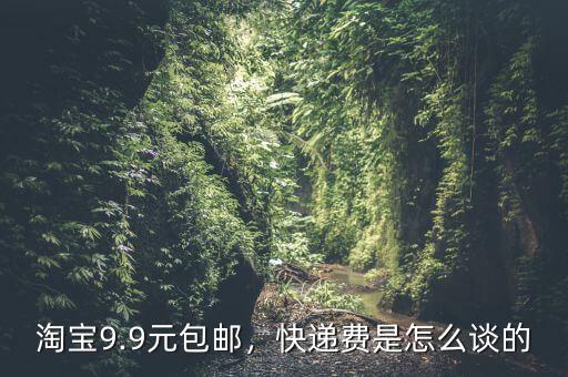 淘寶9.9元包郵，快遞費(fèi)是怎么談的