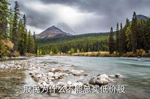 吉諾股份為什么不能買(mǎi),為什么基金持有的股票不能買(mǎi)