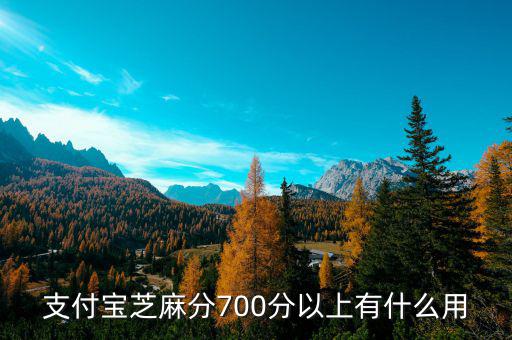 支付寶芝麻分700分以上有什么用