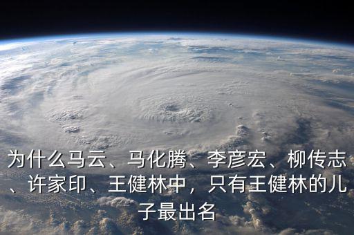 為什么馬云、馬化騰、李彥宏、柳傳志、許家印、王健林中，只有王健林的兒子最出名