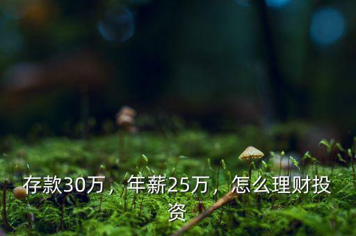 存款30萬，年薪25萬，怎么理財投資