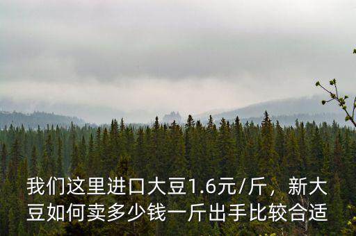 我們這里進(jìn)口大豆1.6元/斤，新大豆如何賣多少錢一斤出手比較合適