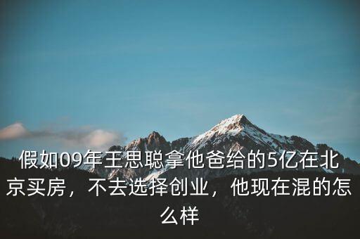 假如09年王思聰拿他爸給的5億在北京買房，不去選擇創(chuàng)業(yè)，他現(xiàn)在混的怎么樣