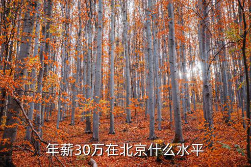 年薪30萬是什么水平,成都年薪30萬是什么水平