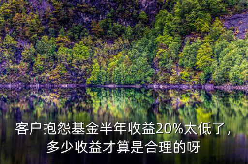 客戶抱怨基金半年收益20%太低了，多少收益才算是合理的呀