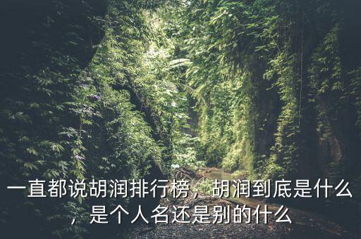 一直都說胡潤排行榜，胡潤到底是什么，是個人名還是別的什么