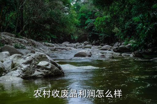 廢品回收小販?zhǔn)杖朐趺礃?回農(nóng)村辦個(gè)廢品回收怎么樣